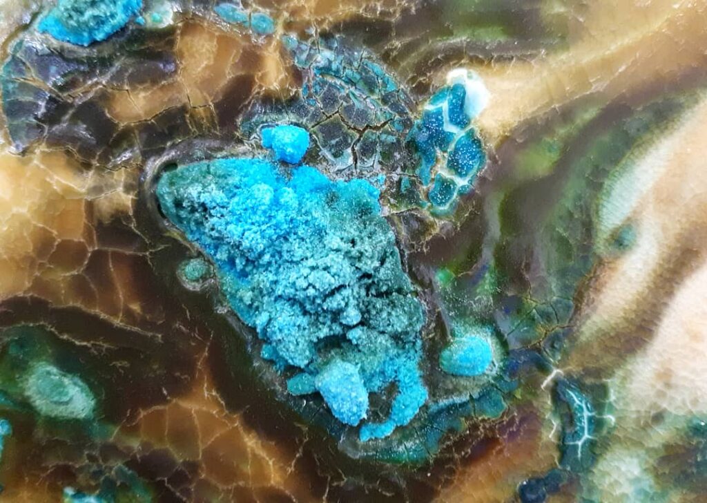 Détail de Tempera I