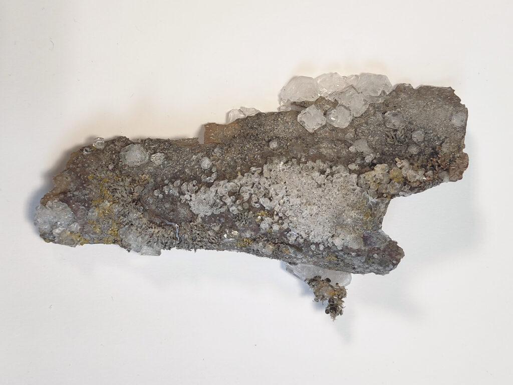 Écorce cristallisée